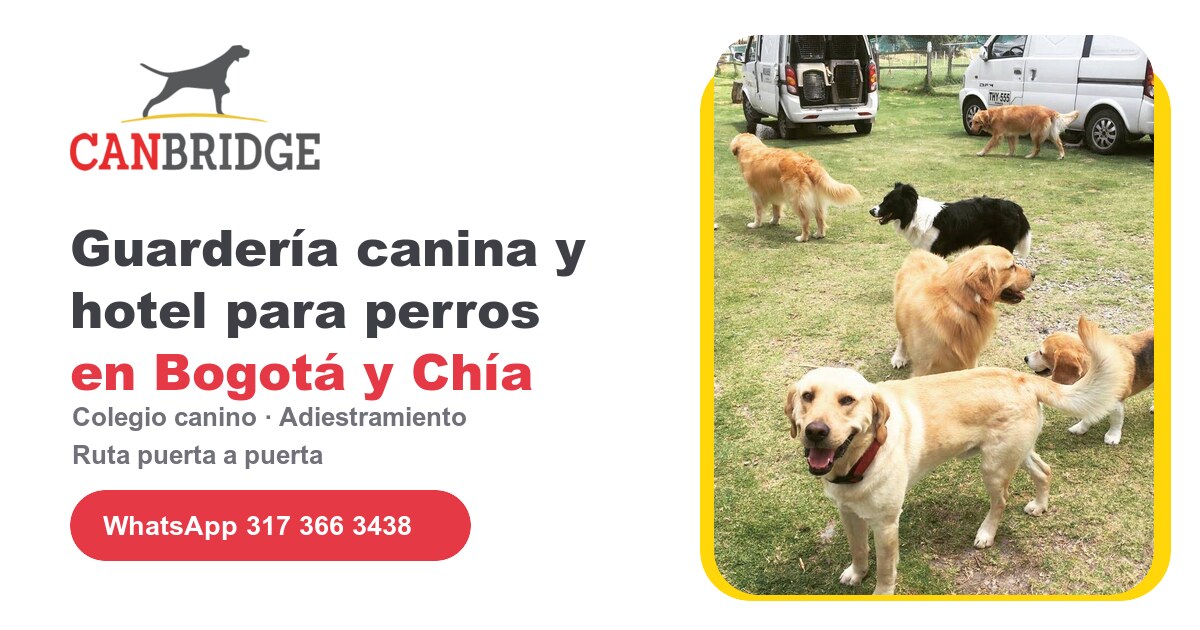 CanBridge – Guardería, Colegio y Hotel Canino