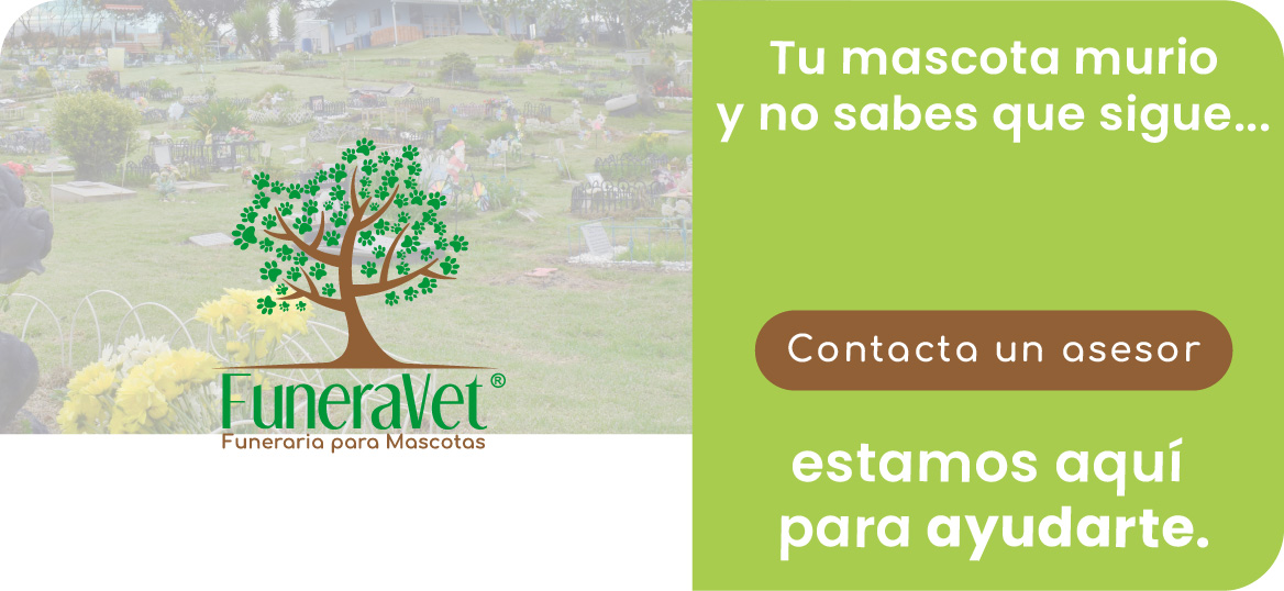 Funeravet – Servicios Funerarios y Biocompostaje Ecológico 24/7