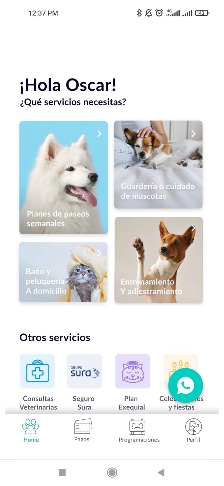 Wakypet – Peluquería Canina (Grooming) y Veterinaria a Domicilio