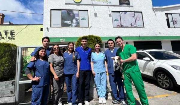 Veterinaria 24 Horas Bogotá – Sede Calle 140